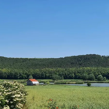 Alsoveto Kosd