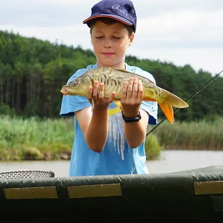 Alsoveto Appartamento Kosd