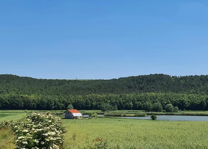 Alsoveto Kosd